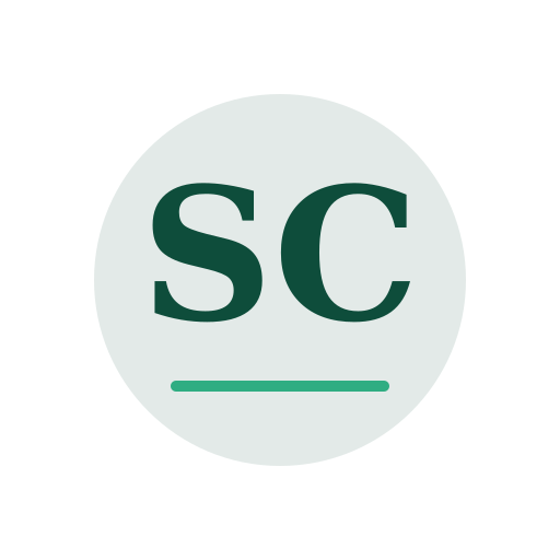 Seno Chimney Services logo